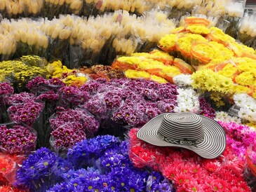 Flower market in Colombia